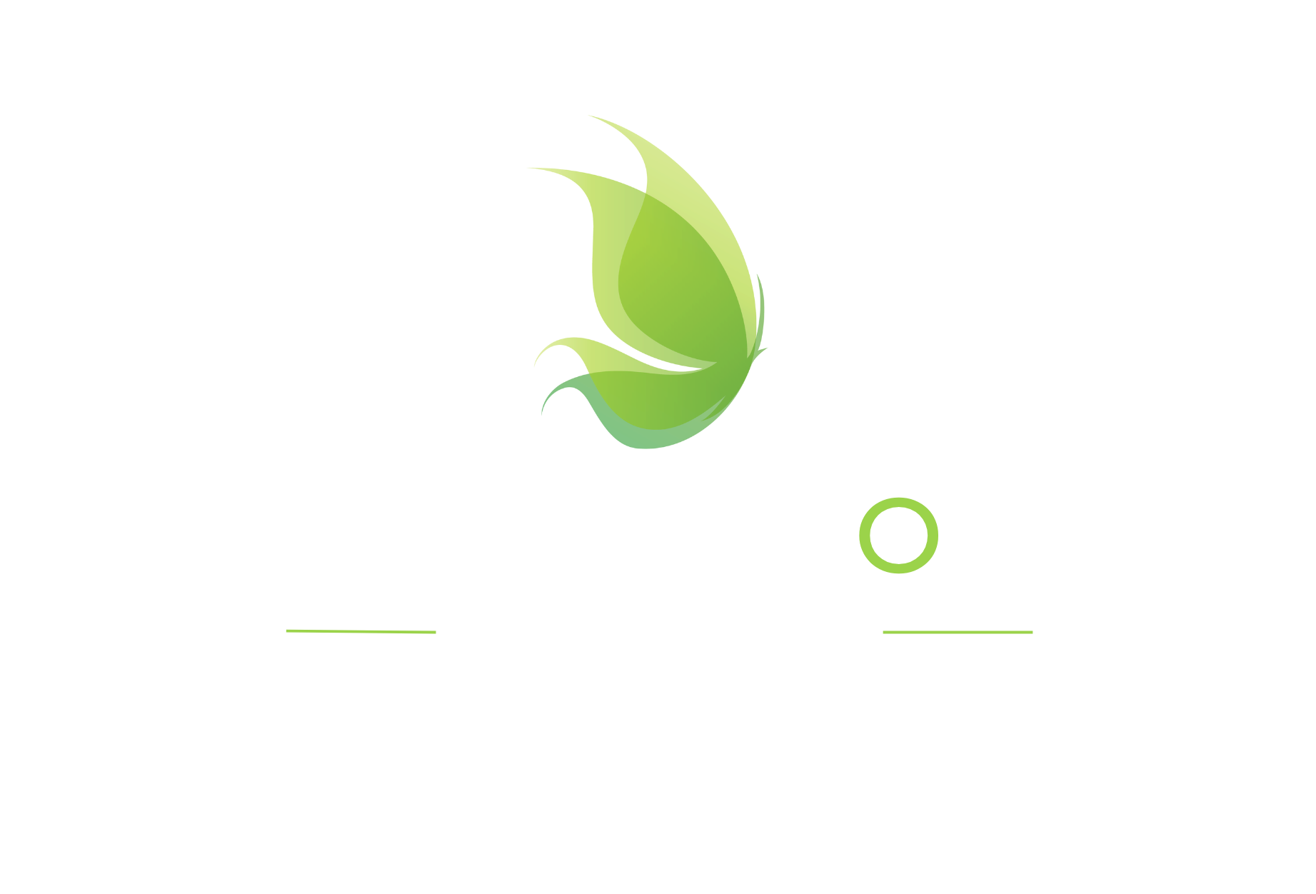 Delmerion